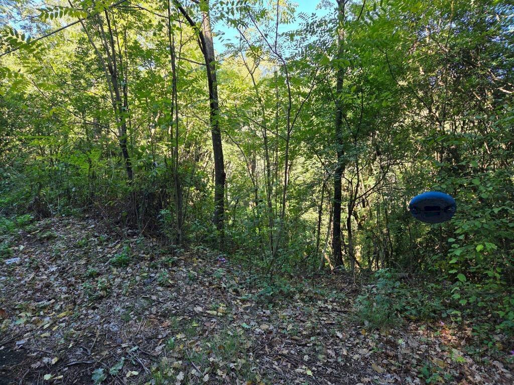 Terreno - Terreno agricolo via Vecchia Pisana, Lastra a Signa - foto 2