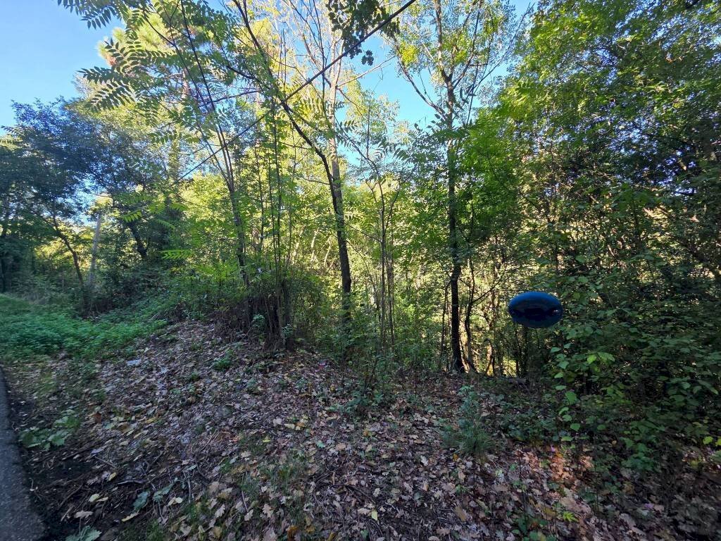 Terreno - Terreno agricolo via Vecchia Pisana, Lastra a Signa - foto 3