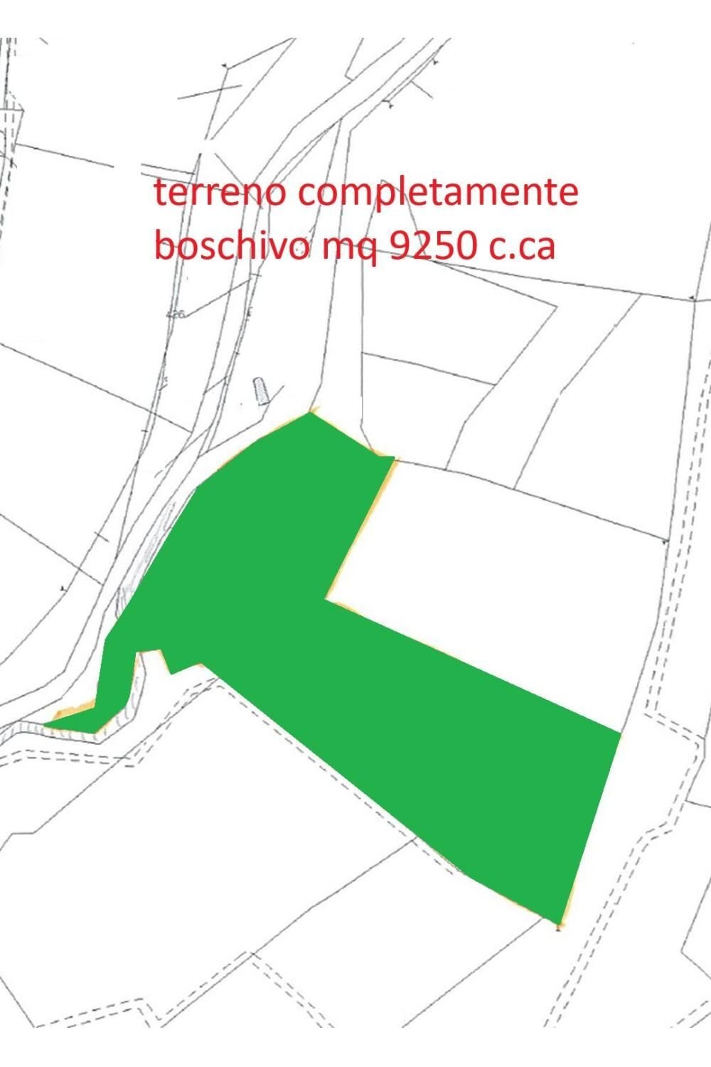 Terreno agricolo via Vecchia Pisana, Lastra a Signa - planimetria 1