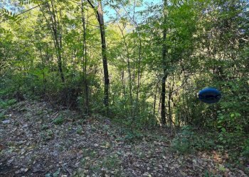 Terreno - Terreno agricolo via Vecchia Pisana, Lastra a Signa - foto 2