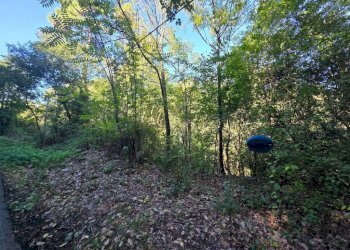 Terreno - Terreno agricolo via Vecchia Pisana, Lastra a Signa - foto 3