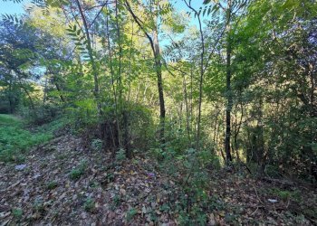 Terreno - Terreno agricolo via Vecchia Pisana, Lastra a Signa - foto 4