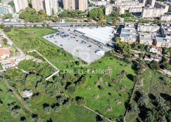 Foto 5 - Terreno agricolo viale michelangelo, Palermo - foto 5