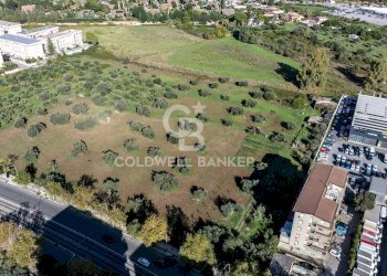 Foto 6 - Terreno agricolo viale michelangelo, Palermo - foto 6