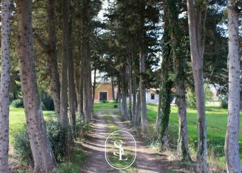 Foto 3 - Villa Via Umberto Giordano, Monteroni di Lecce - foto 3