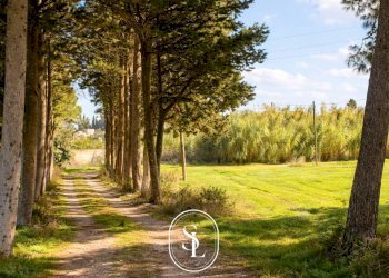 Foto 33 - Villa Via Umberto Giordano, Monteroni di Lecce - foto 33