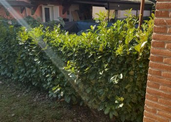 20251106_121743 - Villa via Pavia, Spino d'Adda - foto 114