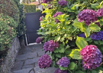 Foto 18 - Villa Via Cardia
 
6, Gignese - foto 18