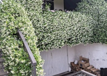 Foto 20 - Villa Via Cardia
 
6, Gignese - foto 20