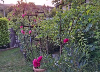 Foto 25 - Villa Via Cardia
 
6, Gignese - foto 25