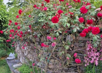 Foto 30 - Villa Via Cardia
 
6, Gignese - foto 30