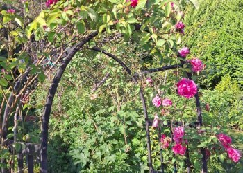 Foto 32 - Villa Via Cardia
 
6, Gignese - foto 32