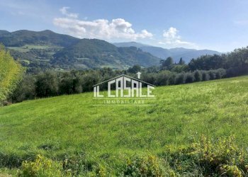 2terrenobadia-min.jpg - Capannone Località Bovino 7, Dicomano - foto 3