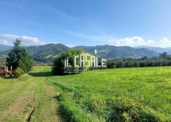 4terrenobadia-min.jpg - Capannone Località Bovino 7, Dicomano - foto 5