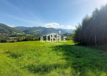 7terrenobadia-min.jpg - Capannone Località Bovino 7, Dicomano - foto 8