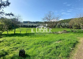 10terrenobadia-min.jpg - Capannone Località Bovino 7, Dicomano - foto 11