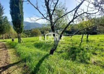 11terrenobadia-min.jpg - Capannone Località Bovino 7, Dicomano - foto 12