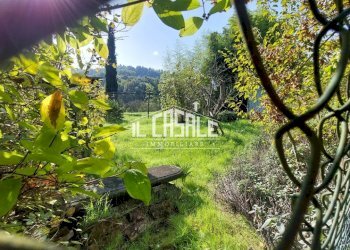 13terrenobadia-min.jpg - Capannone Località Bovino 7, Dicomano - foto 14