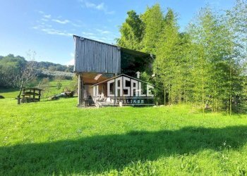 17terrenobadia-min.jpg - Capannone Località Bovino 7, Dicomano - foto 18