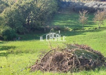 19terrenobadia-min.jpg - Capannone Località Bovino 7, Dicomano - foto 20