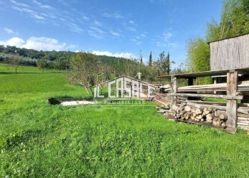 20terrenobadia-min.jpg - Capannone Località Bovino 7, Dicomano - foto 21