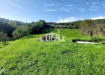 21terrenobadia-min.jpg - Capannone Località Bovino 7, Dicomano - foto 22