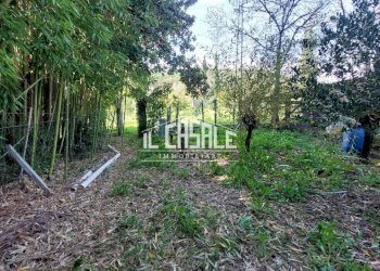 30terrenobadia-min.jpg - Capannone Località Bovino 7, Dicomano - foto 30