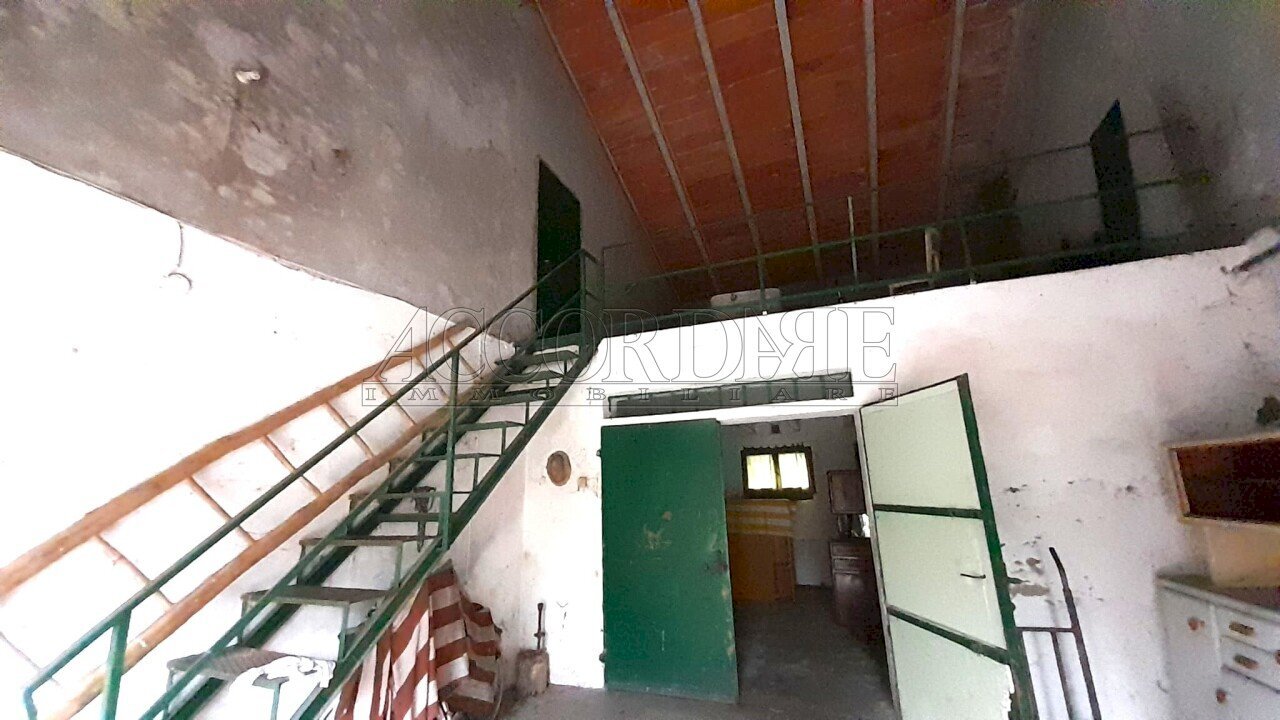 IMG-20251216-WA0022.jpg - Rustico Campodoro - foto 1