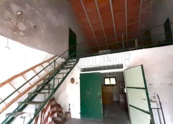 IMG-20251216-WA0022.jpg - Rustico Campodoro - foto 1