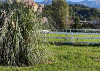 IMG-20250922-WA0034.jpg - Independent house Villafranca in Lunigiana - photo 4