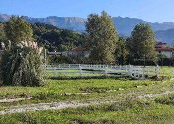 IMG-20250922-WA0056.jpg - Independent house Villafranca in Lunigiana - photo 5