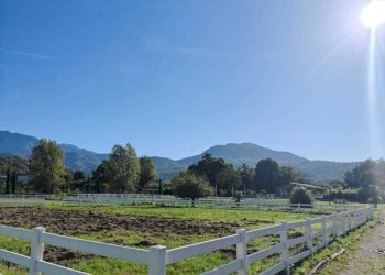 IMG-20250922-WA0011.jpg - Independent house Villafranca in Lunigiana - photo 15