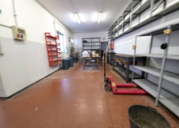 20251024_110605.jpg - Magazzino Via del Commercio 27, Genova (zona Nervi) - foto 14