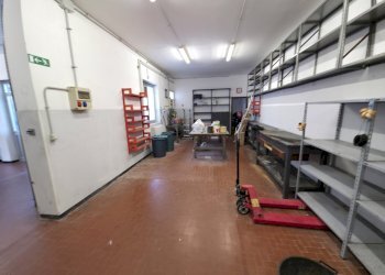 20251024_110603.jpg - Magazzino Via del Commercio 27, Genova (zona Nervi) - foto 15