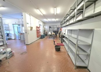 20251024_110546.jpg - Magazzino Via del Commercio 27, Genova (zona Nervi) - foto 18