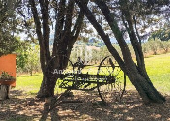 casale il falcone 3.jpg - Casale Via dei Partigiani, Castiglione del Lago - foto 16