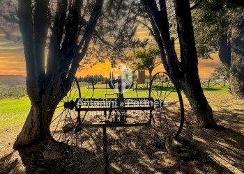 casale il falcone 35.jpg - Casale Via dei Partigiani, Castiglione del Lago - foto 19