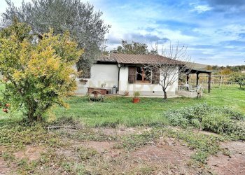 28994.jpg - Rustico località i chiostri, Piancastagnaio - foto 1