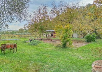 29008.jpg - Rustico località i chiostri, Piancastagnaio - foto 14