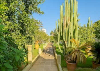 ChatGPT Image 8 nov 2025, 12_35_20.png - Villa Via Costantini 78, Calimera - photo 5