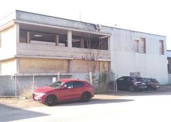 IMG_20251112_101155.jpg - Capannone Via John Fitzgerald Kennedy 9, Modena - foto 20