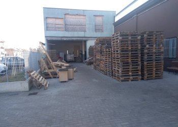 IMG_20251112_101249.jpg - Capannone Via John Fitzgerald Kennedy 9, Modena - foto 22