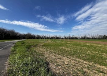 Terreno agricolo Via IV Novembre, Nerviano - foto 2