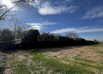 Terreno agricolo Via IV Novembre, Nerviano - foto 3
