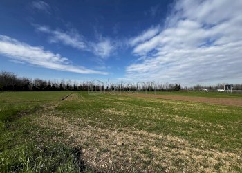 Terreno agricolo Via IV Novembre, Nerviano - foto 4