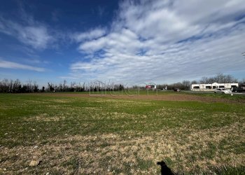 Terreno agricolo Via IV Novembre, Nerviano - foto 5