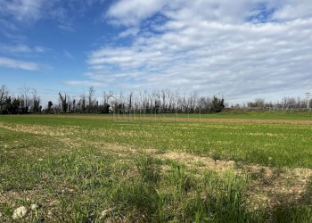 Terreno agricolo Via IV Novembre, Nerviano - foto 6
