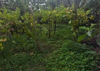 Casa indipendente via Carratù, Mercato San Severino - foto 20