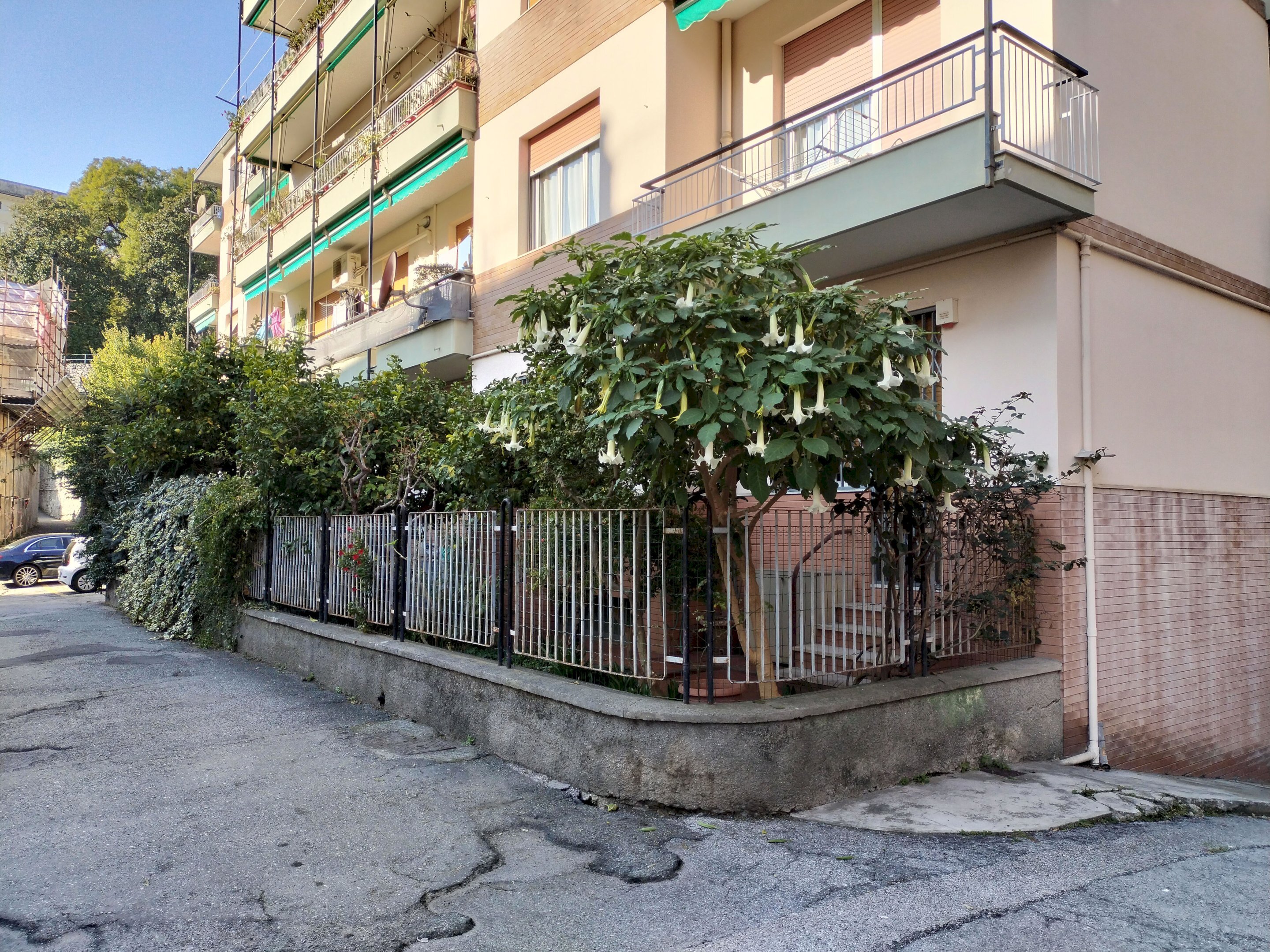 Quadrilocale via Lanzerotto Malocello, Genova (zona Pegli) - foto 1