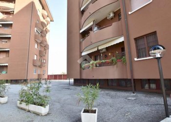 Three-room apartment Via Brianza, Settala - photo 29